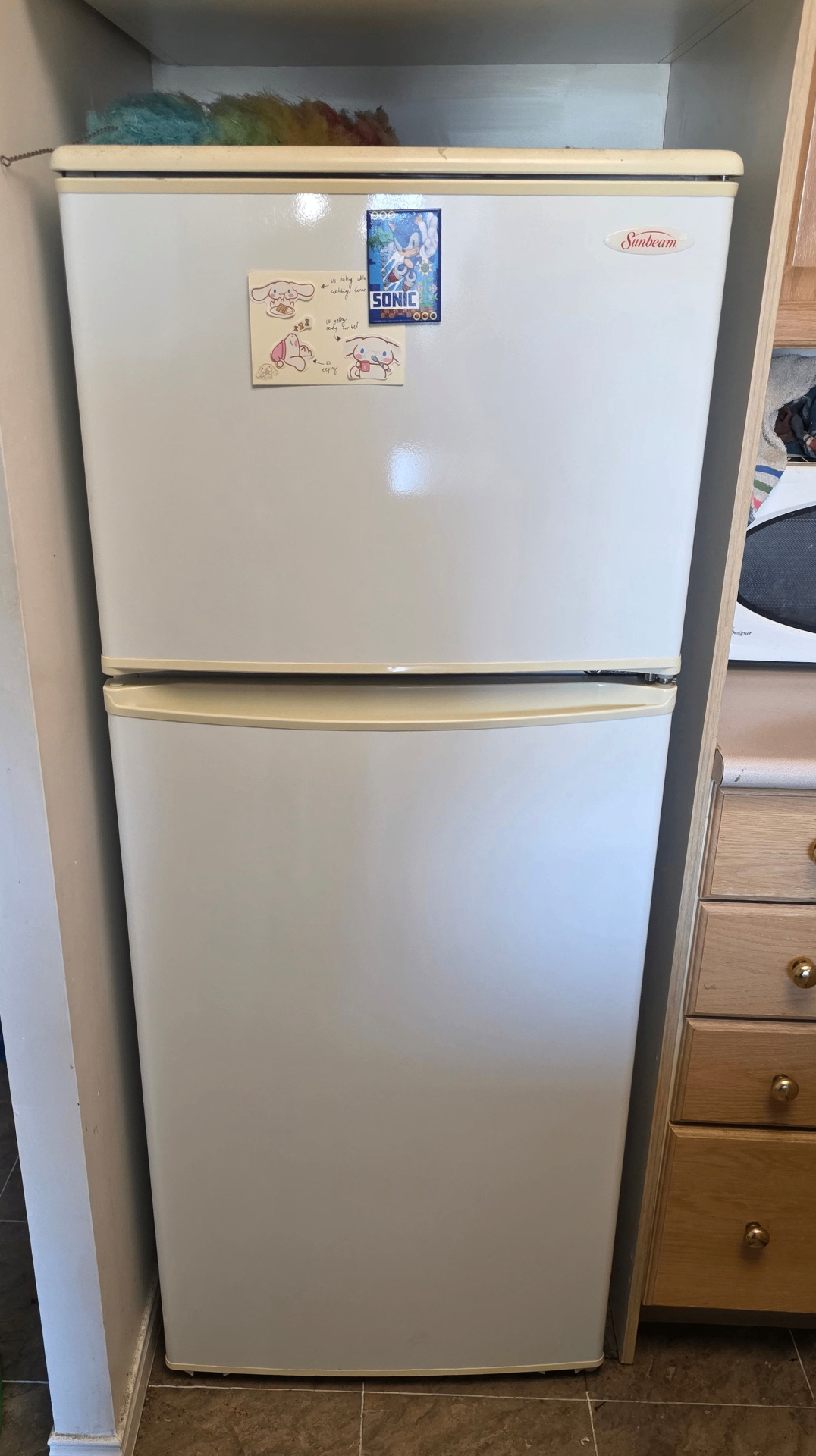 Fridge Exterior Restoration - After