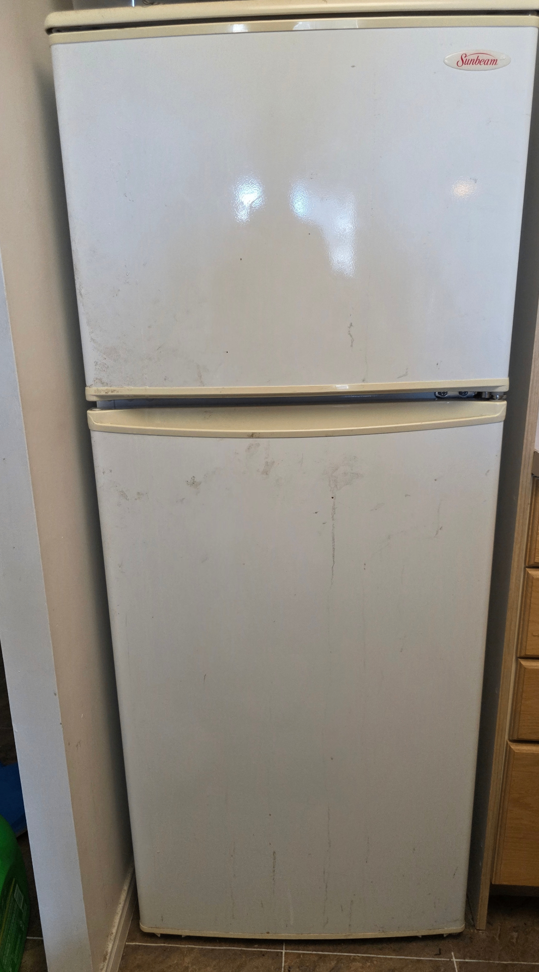 Fridge Exterior Restoration - Before