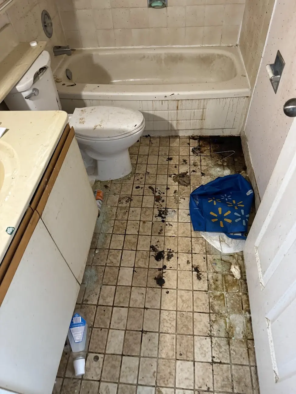 Bathroom Floor Deep Clean - Before