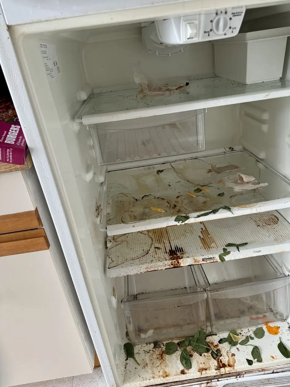 Refrigerator Deep Clean - Before