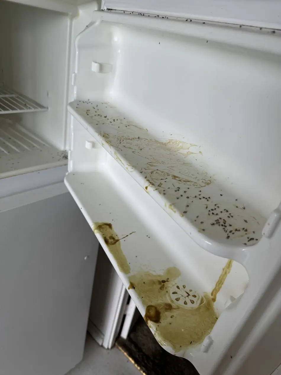 Fridge Drawer Cleaning - Before