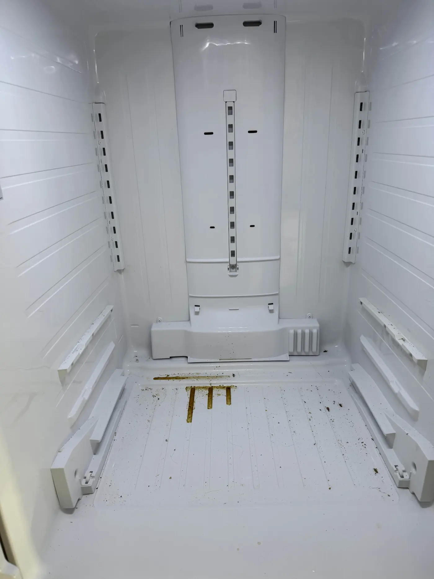 Fridge Interior Cleaning - Before