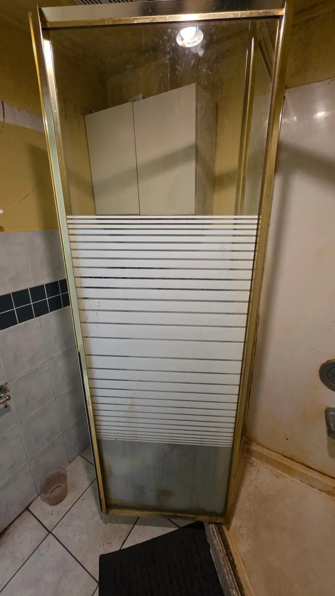Shower Glass Door Clean - Before
