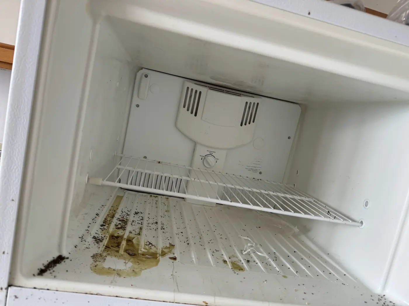 Top Fridge Deep Clean - Before